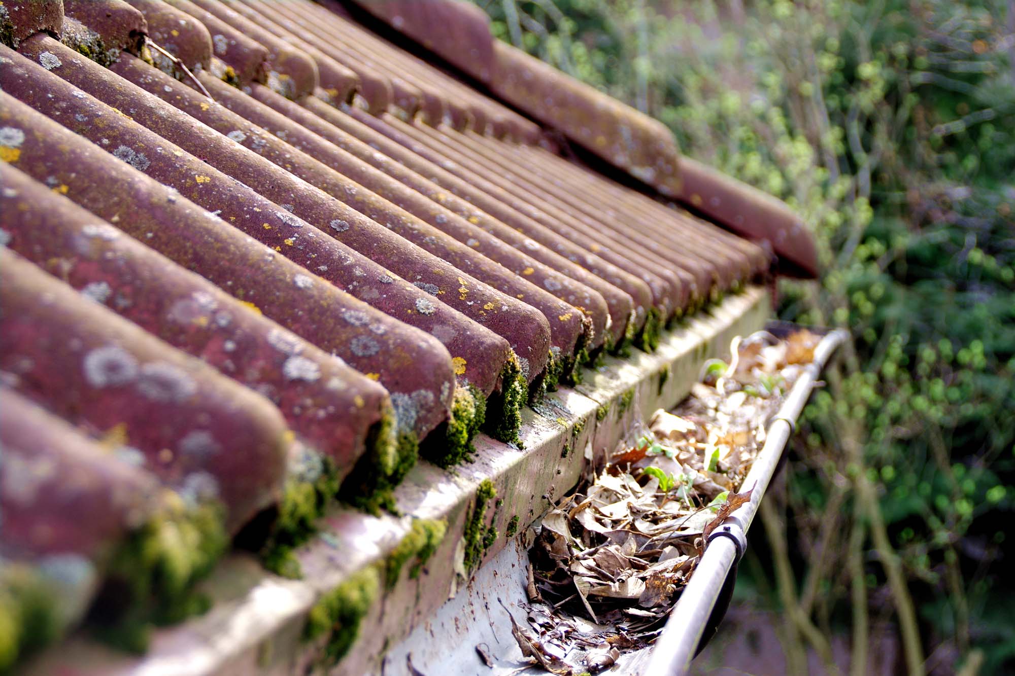 Gutter cleaning